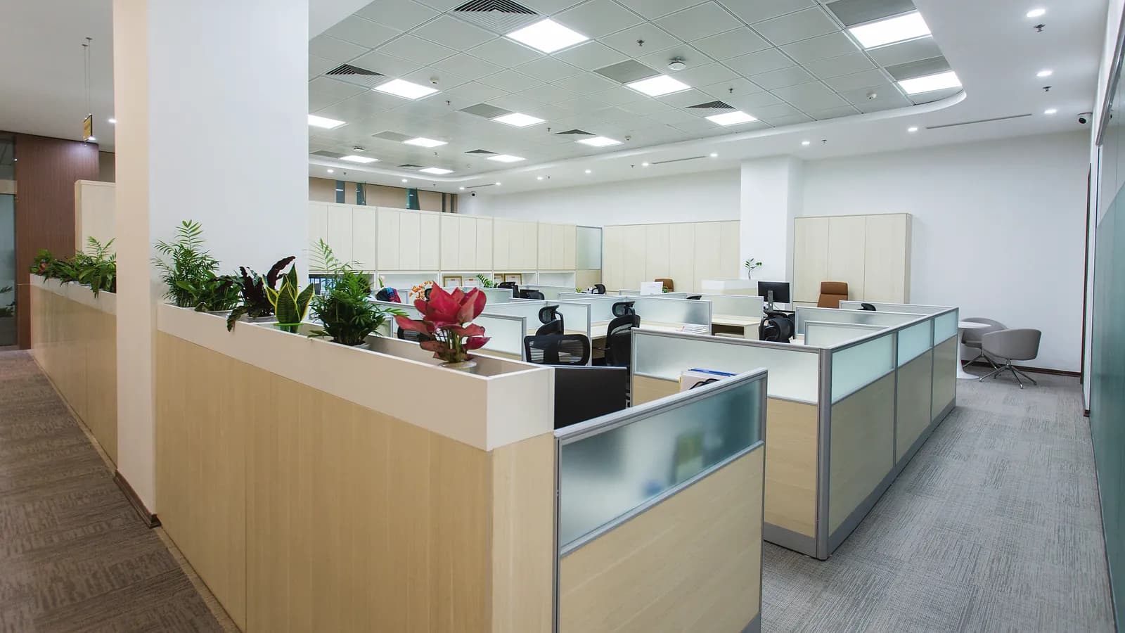 Bright open-plan office with workstations and indoor plants, where payroll teams review monthly salary runs